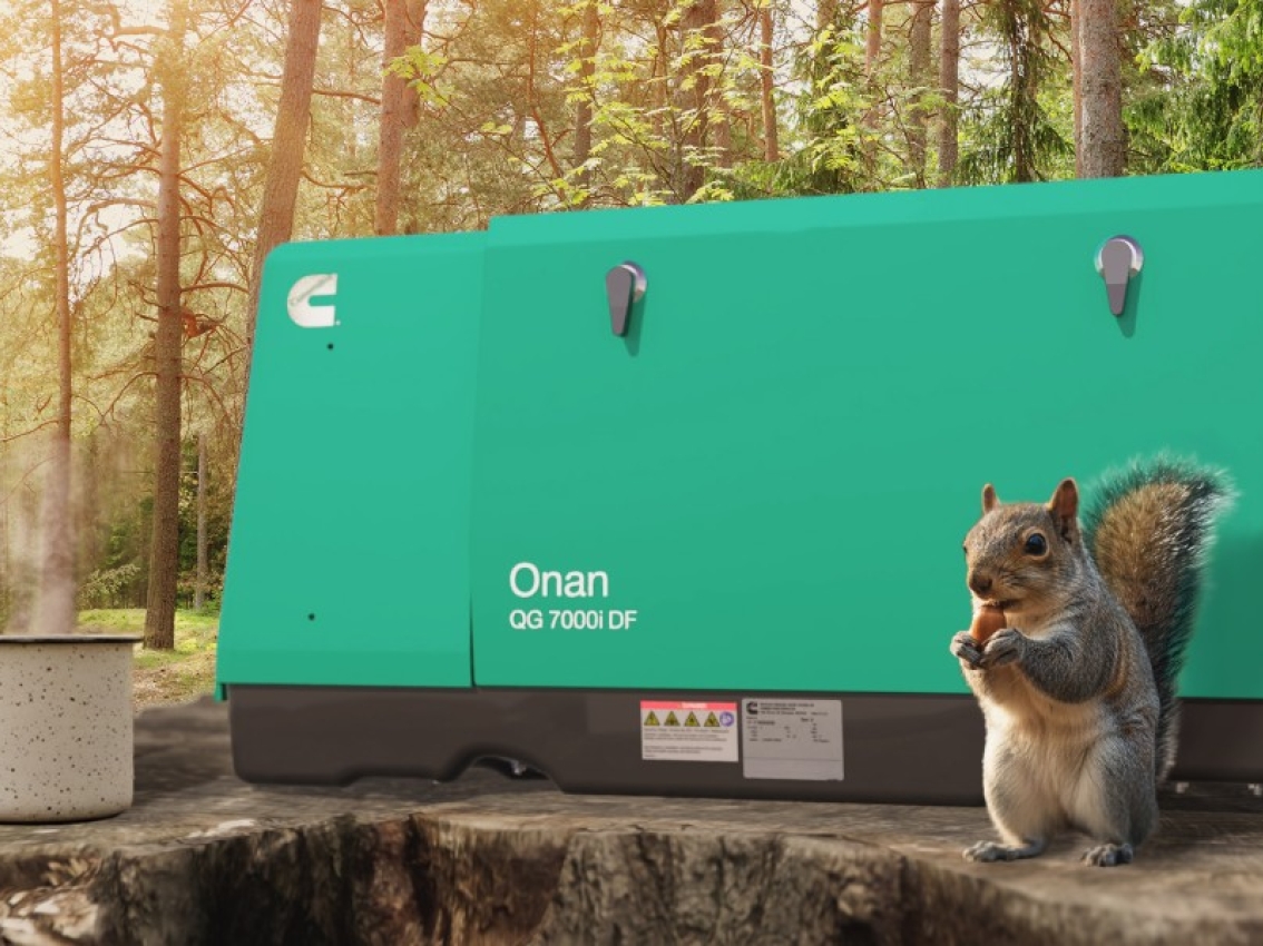 Squirrel sitting with Onan generator