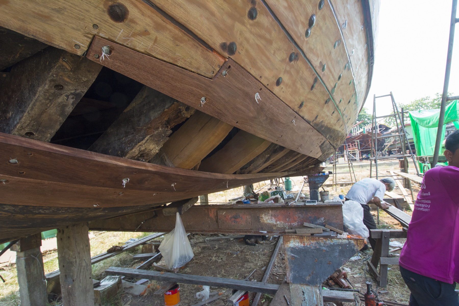 The new plank is scarfed into place on some new and some old frames.