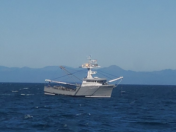 The rebuilt Dauntless earning her keep as a twin-rigged shrimper off the coast of Oregon