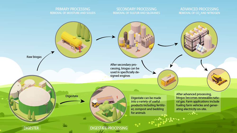 How is biogas produced?