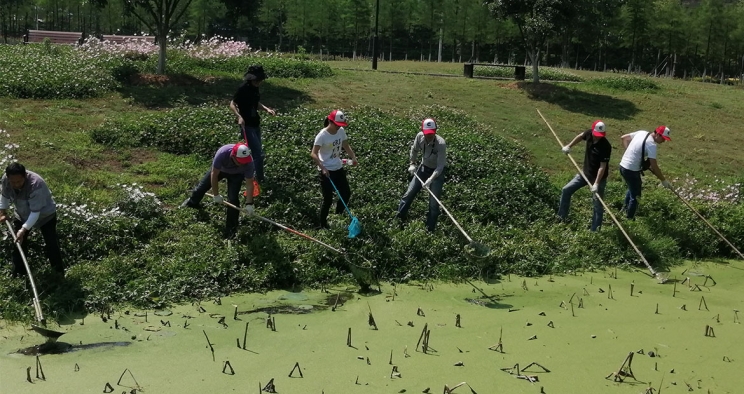 Employees cleaning a river
